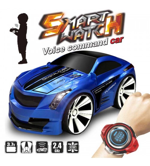 voice controlled rc car with smartwatch